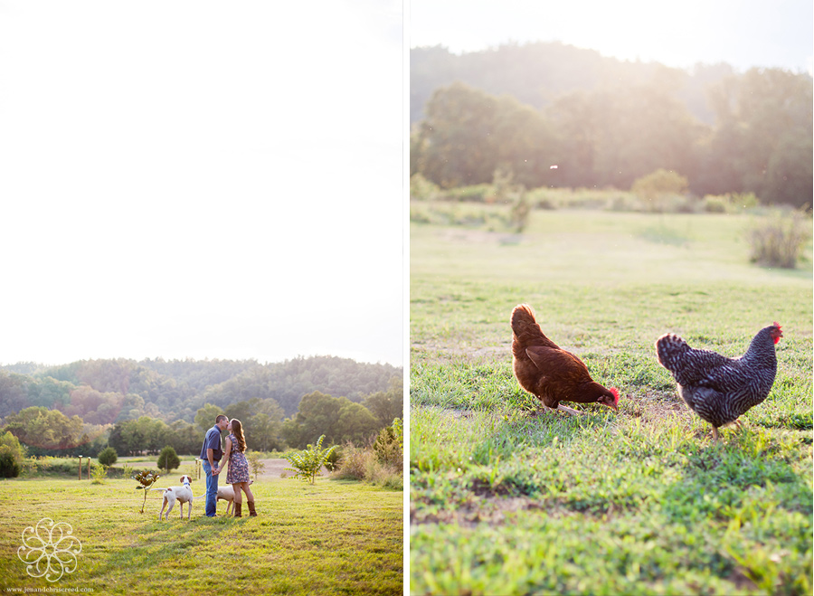 farm engagement pictures