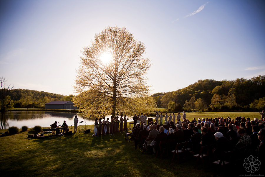 ceremony under a tree