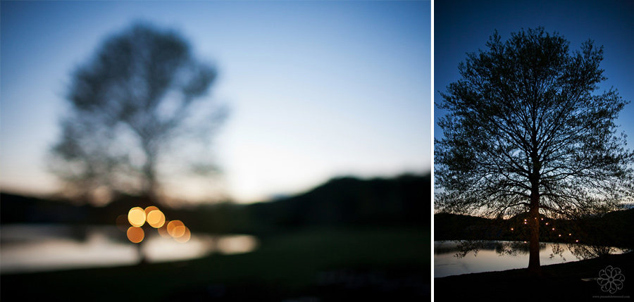 lighted tree wedding