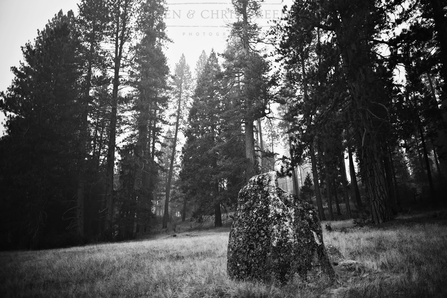 Yosemite0003