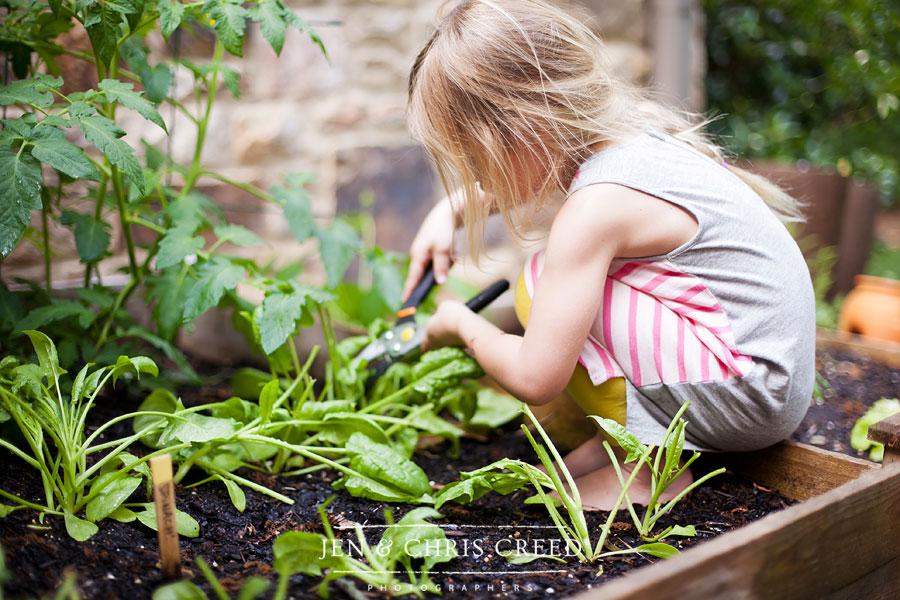 girl in garden cutting spinach