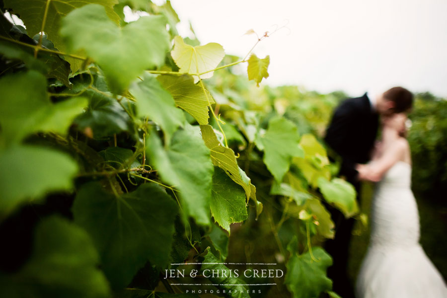 kissing in vineyard