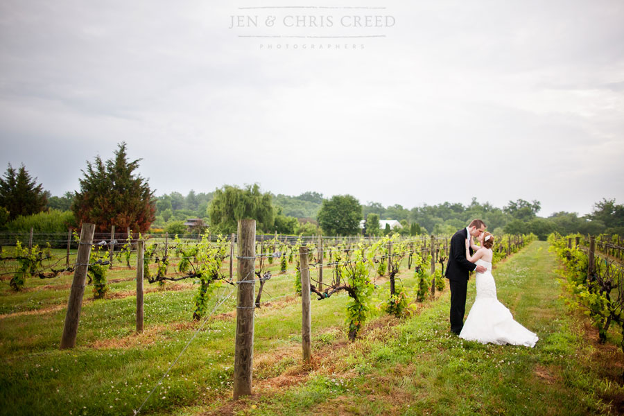 Kentucky vineyard wedding