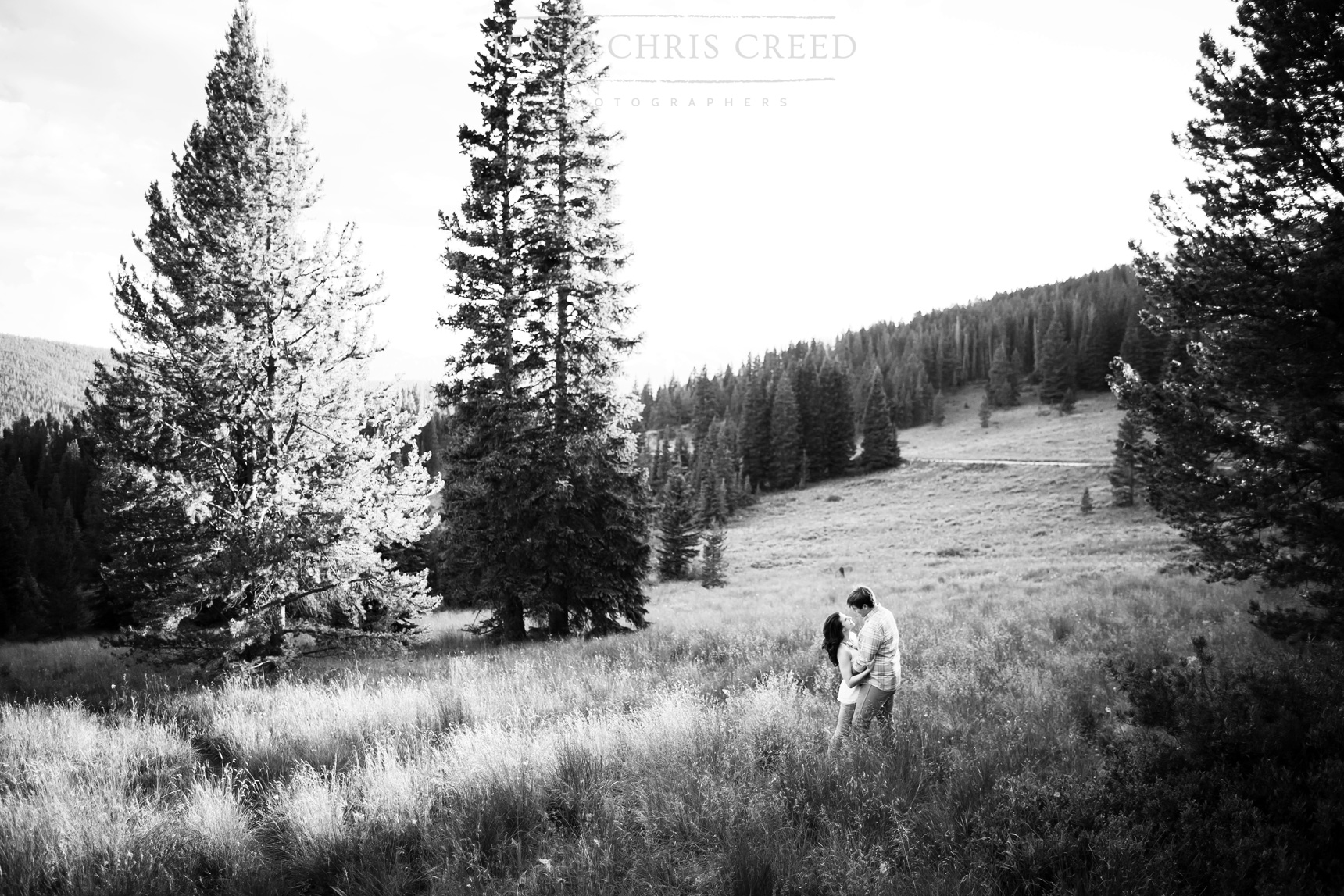 Boreas Pass engagement photos