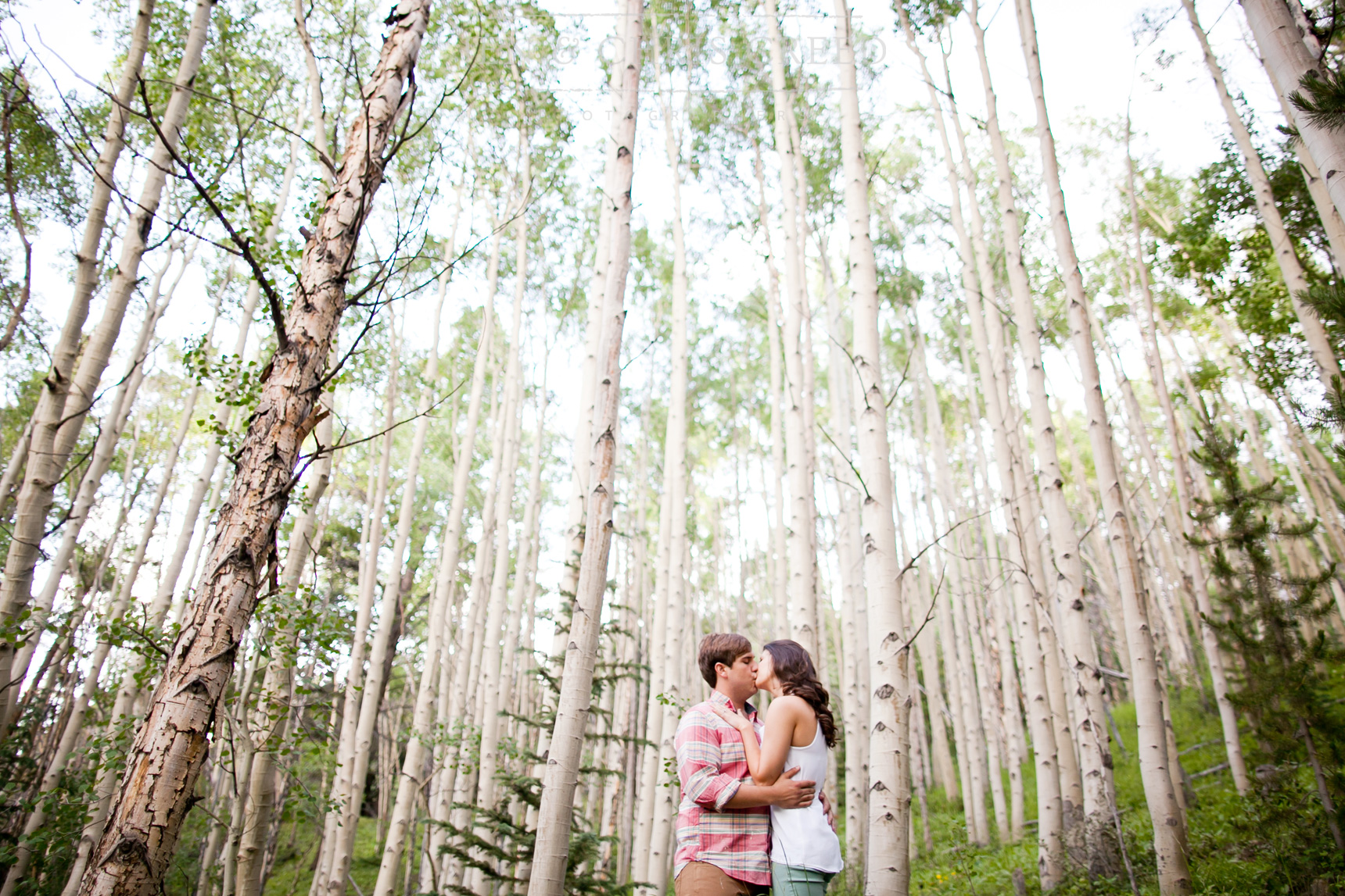 aspen tree engagement photos