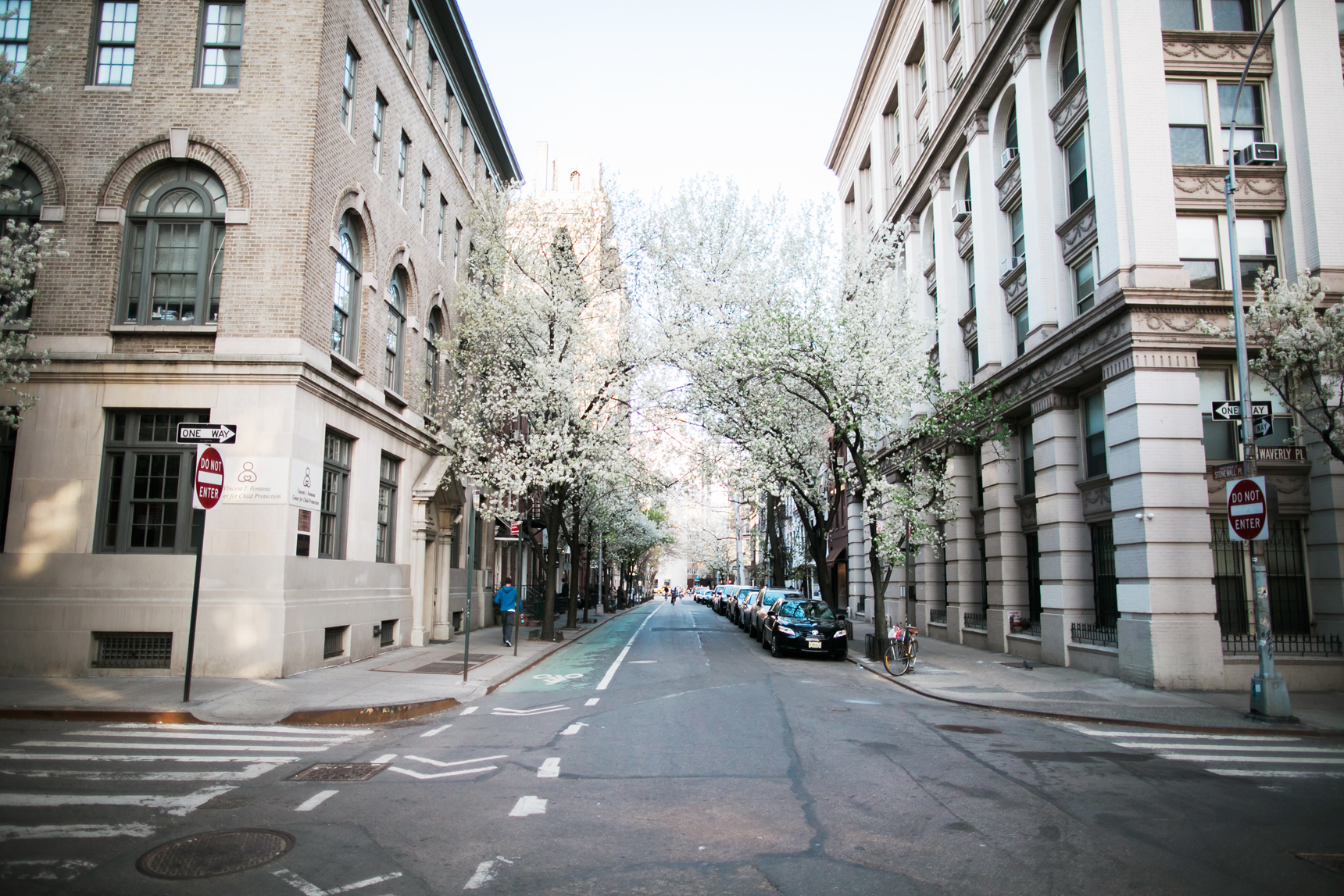 blooms in West Village NYC