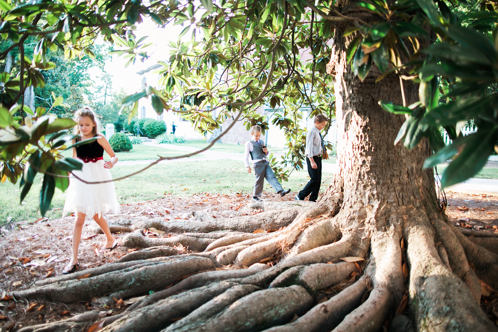 Kids playing under magnolia tree