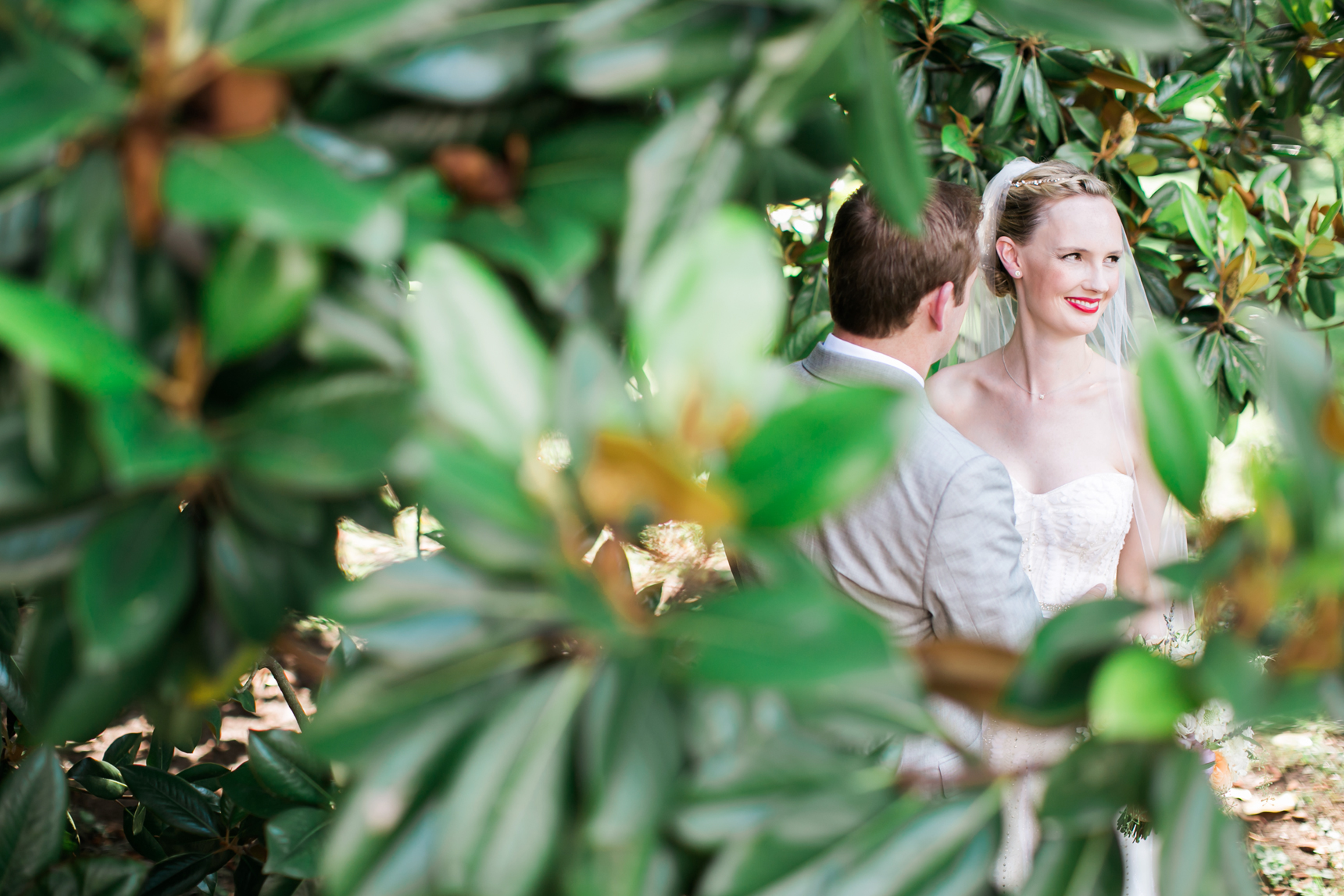 Magnolia tree wedding photos