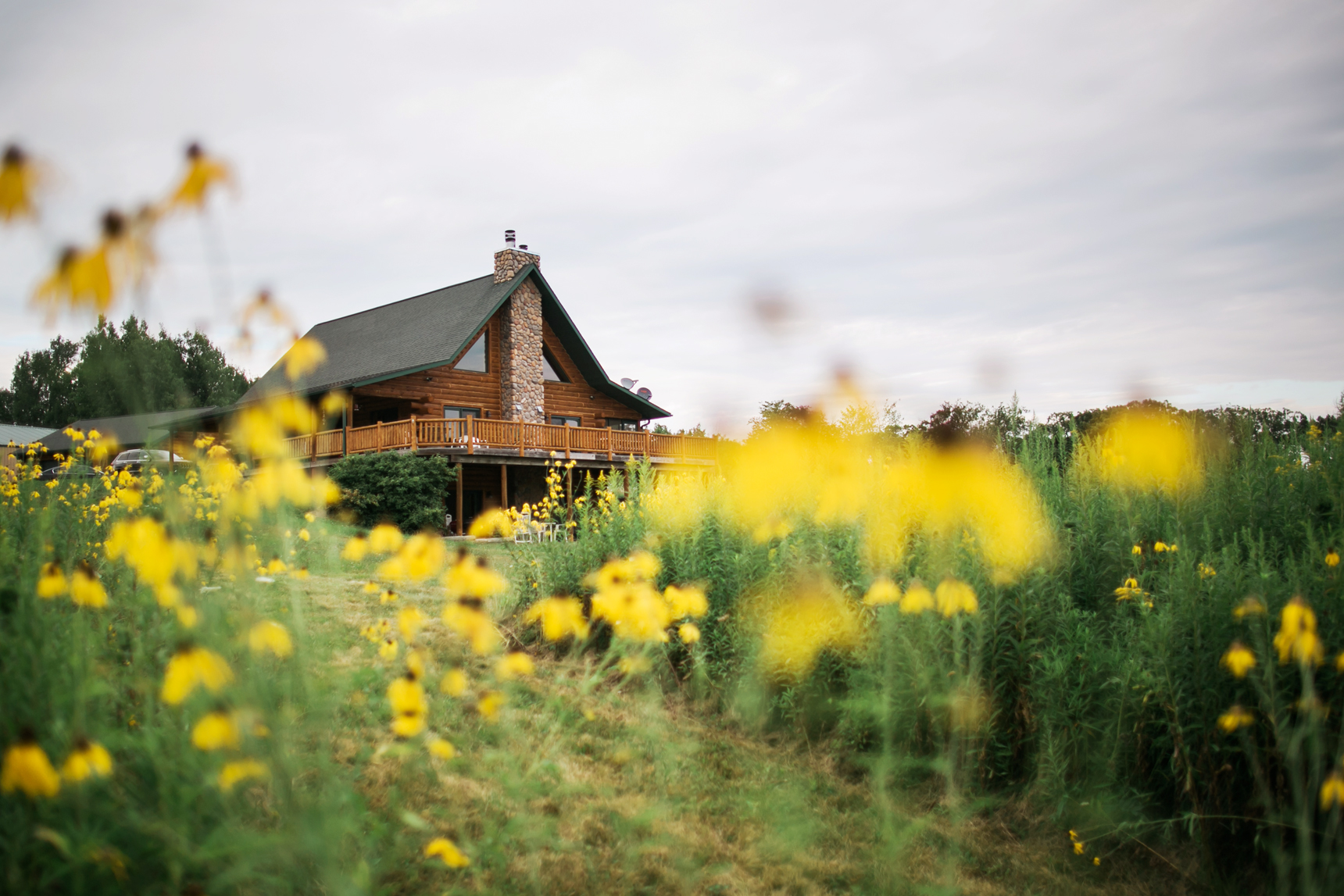 Cabin engagement session