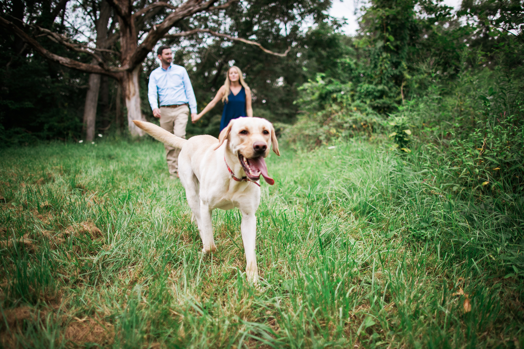 Engagement photos with dog