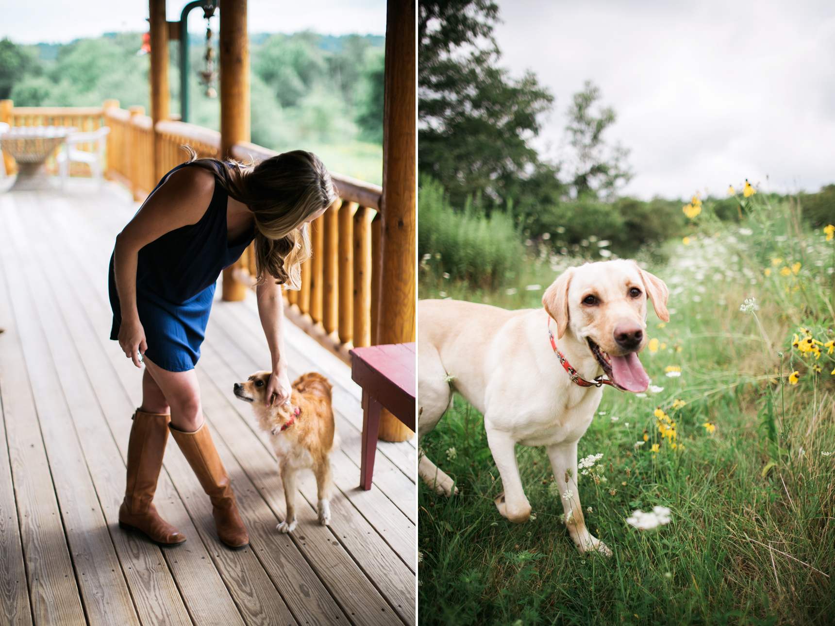 Woman petting dog