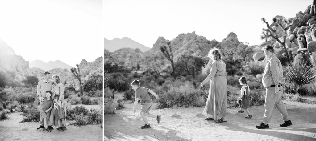 where to do photos in Joshua Tree