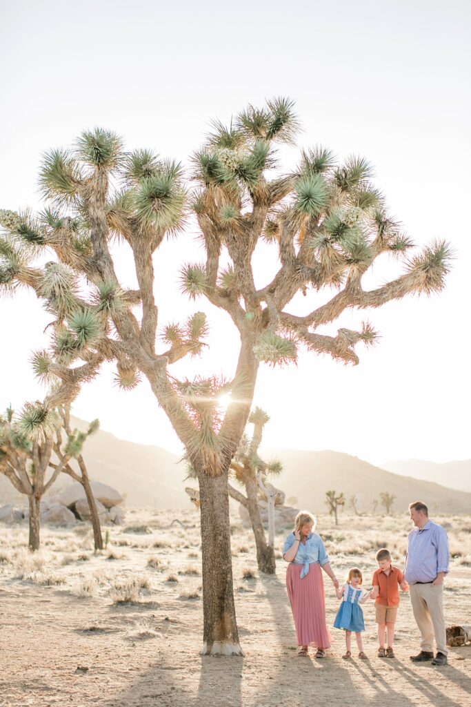 Family engagement photos